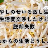 8万円の生活費交渉に失敗。月10回もやしのせいろ蒸ししてカツカツなのに！！
